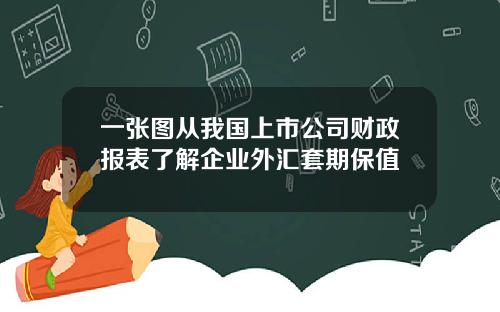 一张图从我国上市公司财政报表了解企业外汇套期保值