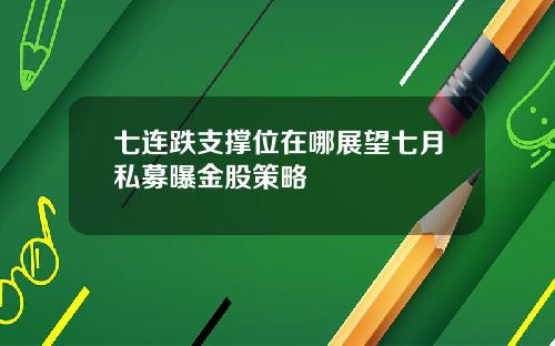 七连跌支撑位在哪展望七月私募曝金股策略