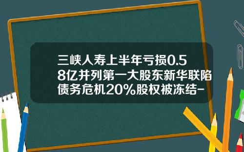 三峡人寿上半年亏损0.58亿并列第一大股东新华联陷债务危机20%股权被冻结-江苏华西同诚投资控股集团有限公司