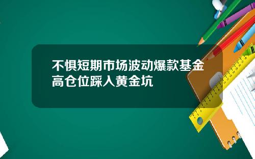 不惧短期市场波动爆款基金高仓位踩入黄金坑