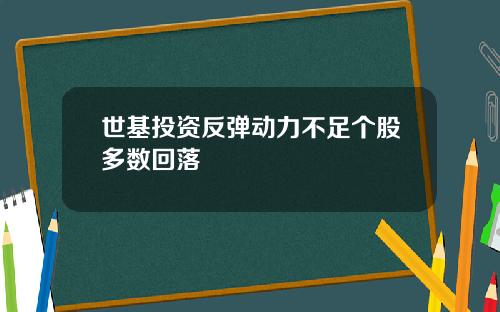 世基投资反弹动力不足个股多数回落