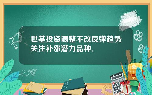 世基投资调整不改反弹趋势关注补涨潜力品种.