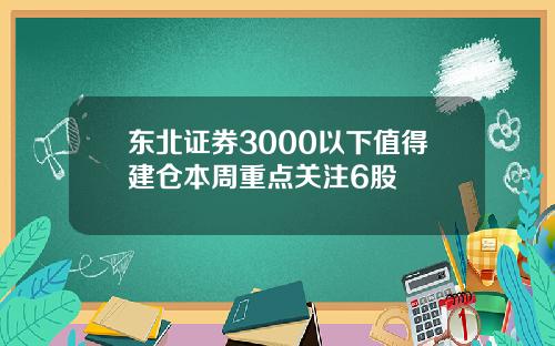 东北证券3000以下值得建仓本周重点关注6股