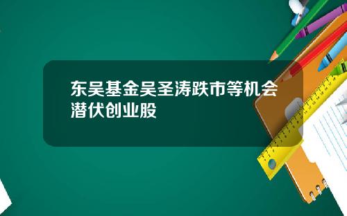 东吴基金吴圣涛跌市等机会潜伏创业股