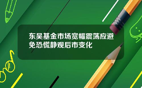 东吴基金市场宽幅震荡应避免恐慌静观后市变化