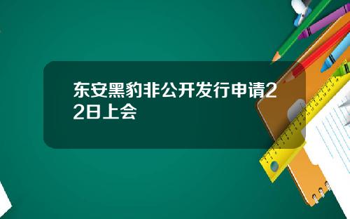 东安黑豹非公开发行申请22日上会