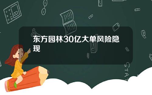 东方园林30亿大单风险隐现