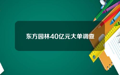 东方园林40亿元大单调查