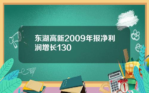 东湖高新2009年报净利润增长130