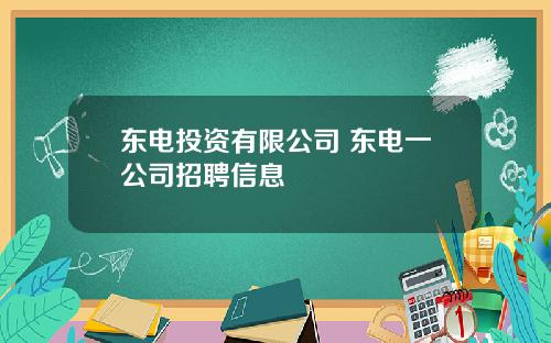 东电投资有限公司 东电一公司招聘信息