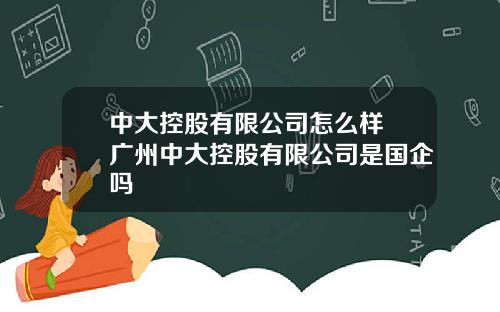 中大控股有限公司怎么样 广州中大控股有限公司是国企吗