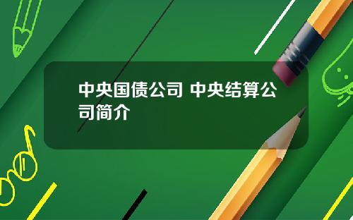 中央国债公司 中央结算公司简介