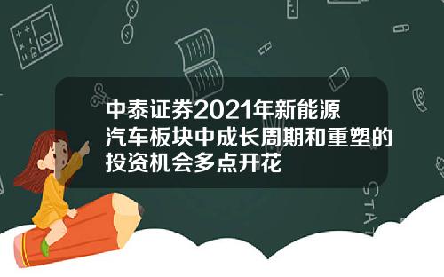 中泰证券2021年新能源汽车板块中成长周期和重塑的投资机会多点开花