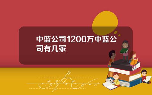 中蓝公司1200万中蓝公司有几家