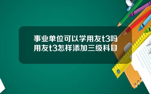 事业单位可以学用友t3吗用友t3怎样添加三级科目