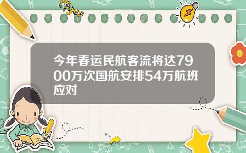 今年春运民航客流将达7900万次国航安排54万航班应对