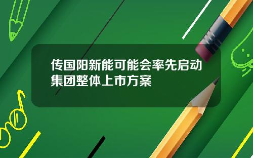 传国阳新能可能会率先启动集团整体上市方案