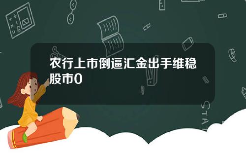 农行上市倒逼汇金出手维稳股市0