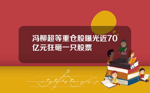 冯柳超等重仓股曝光近70亿元狂砸一只股票