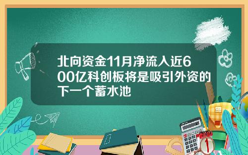 北向资金11月净流入近600亿科创板将是吸引外资的下一个蓄水池