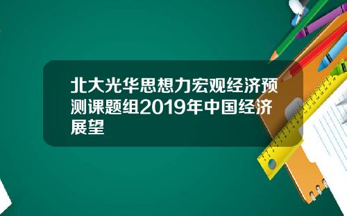 北大光华思想力宏观经济预测课题组2019年中国经济展望