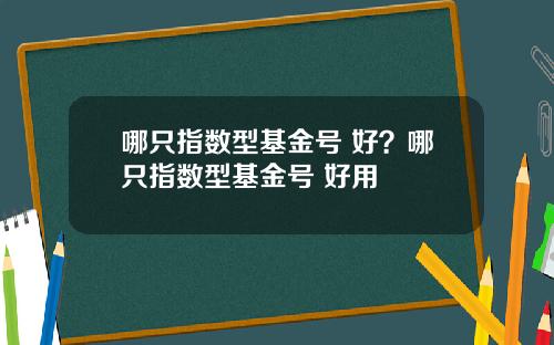 哪只指数型基金号 好？哪只指数型基金号 好用