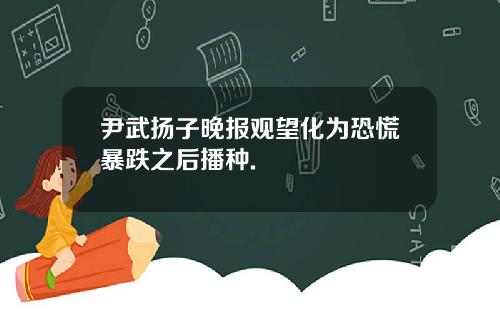 尹武扬子晚报观望化为恐慌暴跌之后播种.