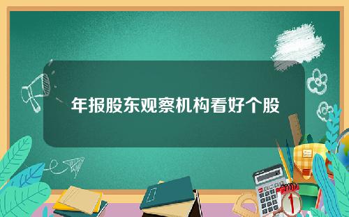 年报股东观察机构看好个股