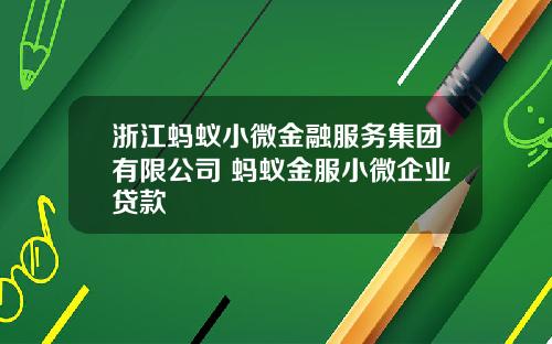 浙江蚂蚁小微金融服务集团有限公司 蚂蚁金服小微企业贷款