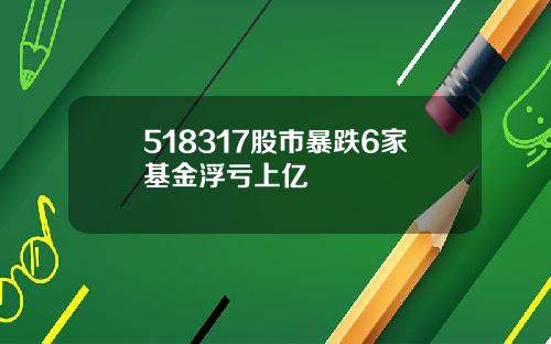 518317股市暴跌6家基金浮亏上亿