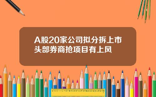 A股20家公司拟分拆上市头部券商抢项目有上风