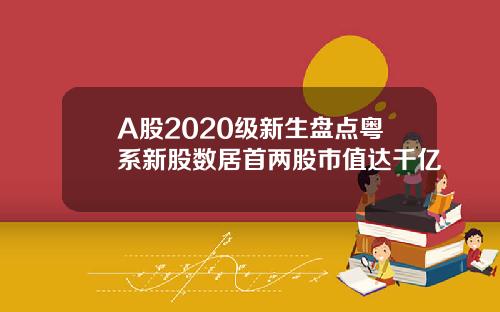 A股2020级新生盘点粤系新股数居首两股市值达千亿