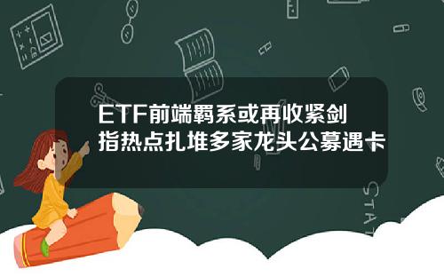 ETF前端羁系或再收紧剑指热点扎堆多家龙头公募遇卡