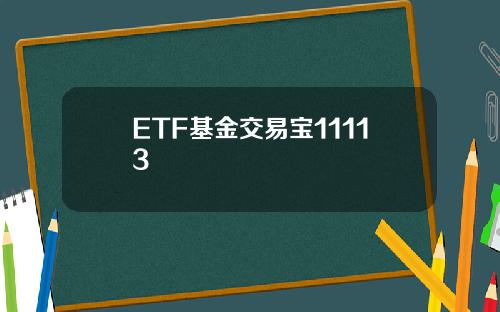 ETF基金交易宝11113