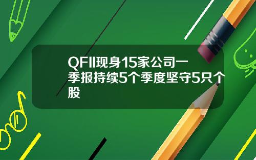 QFII现身15家公司一季报持续5个季度坚守5只个股