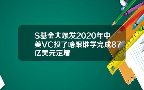 S基金大爆发2020年中美VC投了啥跟谁学完成87亿美元定增