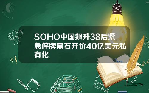 SOHO中国飙升38后紧急停牌黑石开价40亿美元私有化