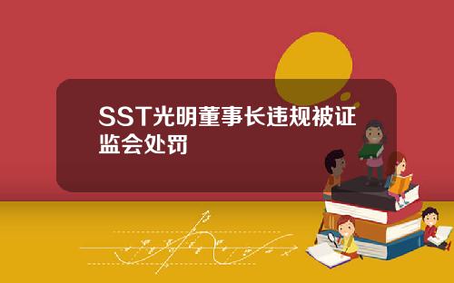 SST光明董事长违规被证监会处罚