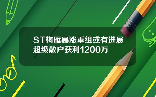 ST梅雁暴涨重组或有进展超级散户获利1200万