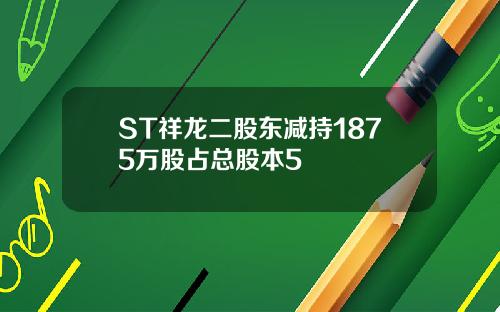 ST祥龙二股东减持1875万股占总股本5