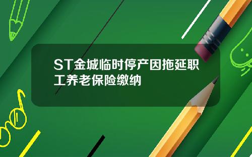 ST金城临时停产因拖延职工养老保险缴纳