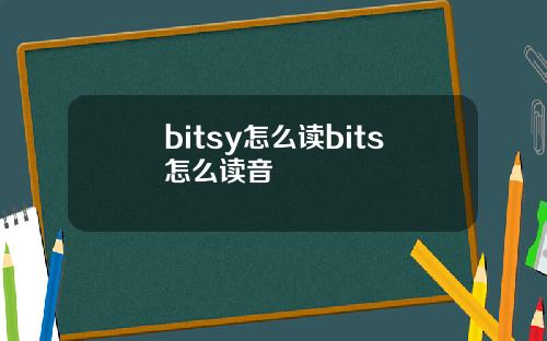 bitsy怎么读bits怎么读音