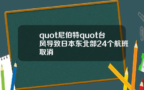 quot尼伯特quot台风导致日本东北部24个航班取消