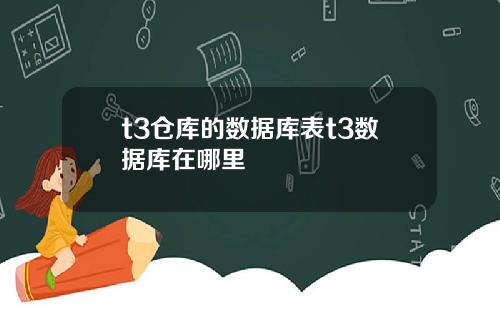 t3仓库的数据库表t3数据库在哪里