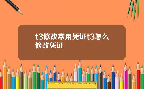 t3修改常用凭证t3怎么修改凭证