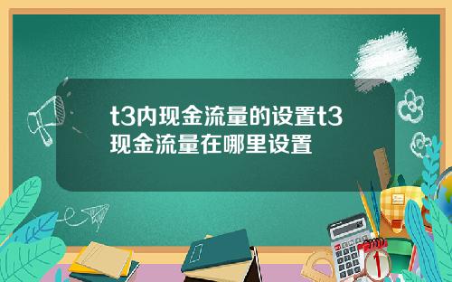 t3内现金流量的设置t3现金流量在哪里设置