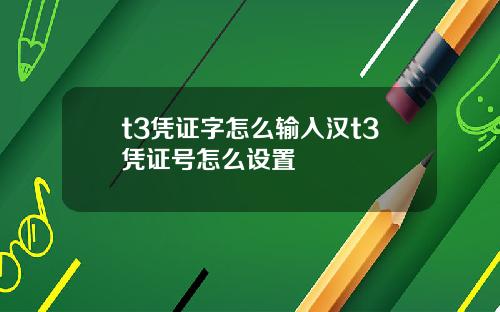 t3凭证字怎么输入汉t3凭证号怎么设置