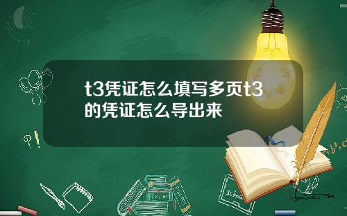 t3凭证怎么填写多页t3的凭证怎么导出来