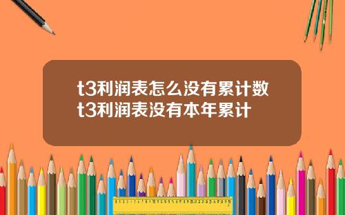 t3利润表怎么没有累计数t3利润表没有本年累计