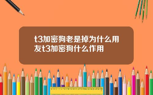 t3加密狗老是掉为什么用友t3加密狗什么作用